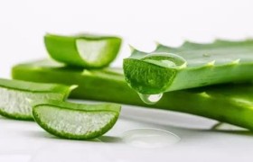 纯净之选：探索芦荟植物水的天然魅力